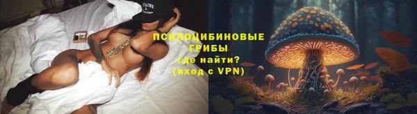 прущие крисы Зеленодольск