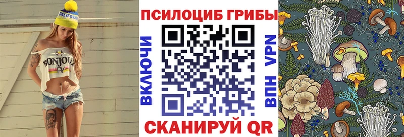 Псилоцибиновые грибы мицелий  Купить где  Шелехов 